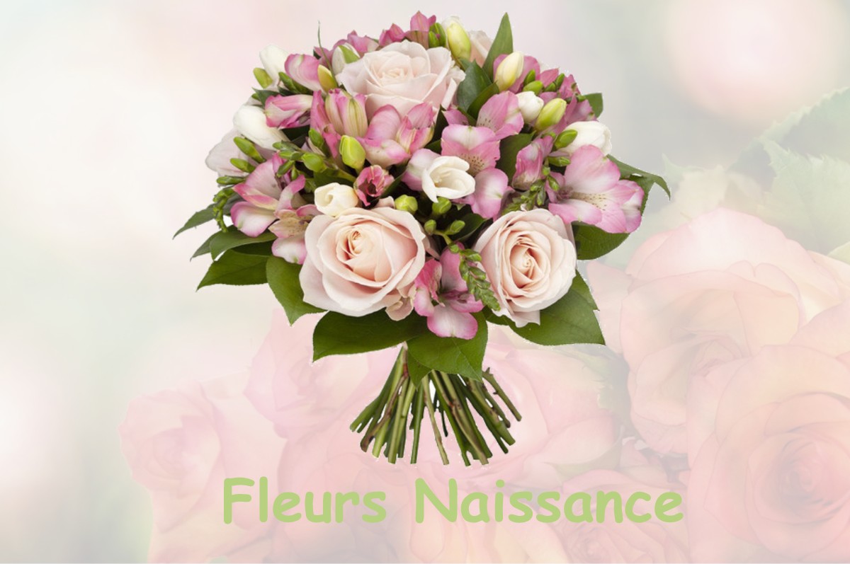 fleurs naissance LONGCOCHON