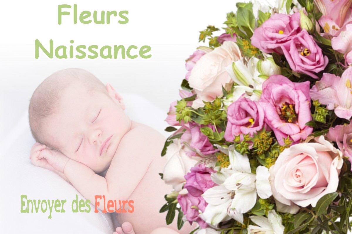 lIVRAISON FLEURS NAISSANCE à LONGCOCHON